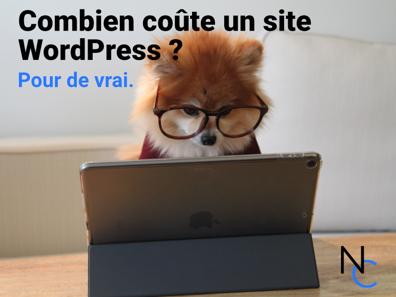Chien qui regarde une tablette avec un texte : combien coûte un site Wordpress ?